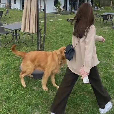 婚姻合伙人粤语